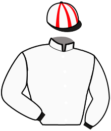Casaque n°1