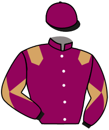 Casaque n°11