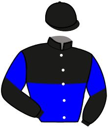 Casaque n°2