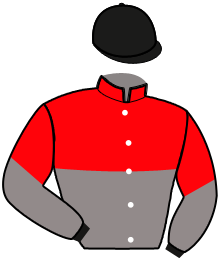 Casaque n°1