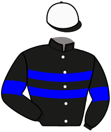 Casaque n°13