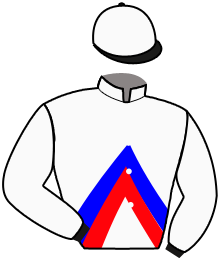 Casaque n°4