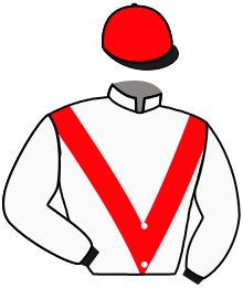 Casaque n°9