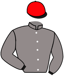 Casaque n°4