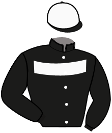Casaque n°1