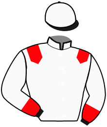 Casaque n°1