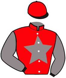 Casaque n°10