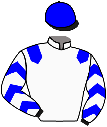 Casaque n°1