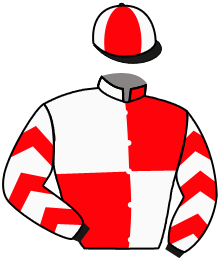 Casaque n°2