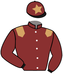 Casaque n°4