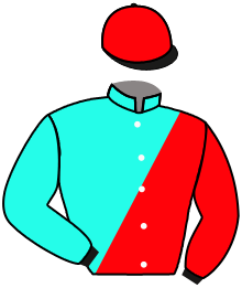 Casaque n°5