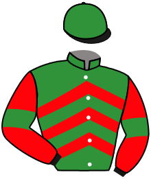 Casaque n°3