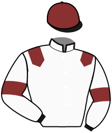 Casaque n°11