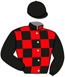 Casaque n°2