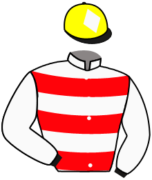 Casaque n°6