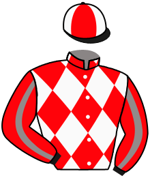 Casaque n°3