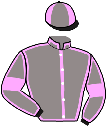 Casaque n°4