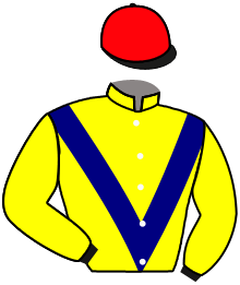Casaque n°1