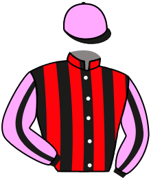 Casaque n°1