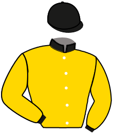 Casaque n°7