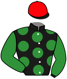 Casaque n°13
