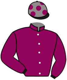 Casaque n°14