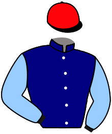Casaque n°2