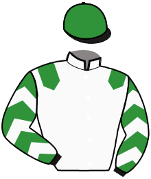 Casaque n°11