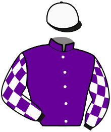 Casaque n°3