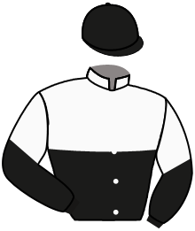 Casaque n°2