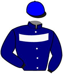 Casaque n°3