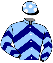 Casaque n°2