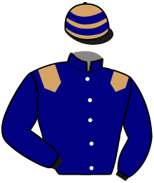 Casaque n°11