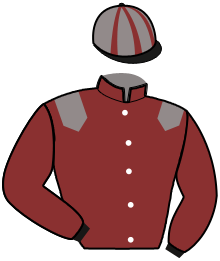 Casaque n°3