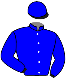 Casaque n°4