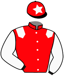 Casaque n°3
