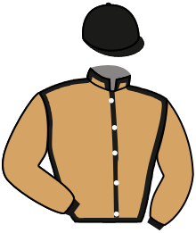Casaque n°2
