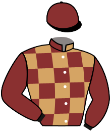 Casaque n°4