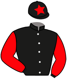 Casaque n°8