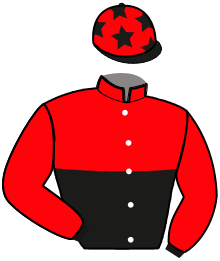 Casaque n°8
