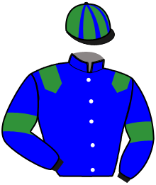 Casaque n°13