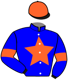 Casaque n°3