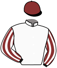 Casaque n°2