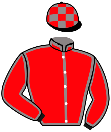 Casaque n°3