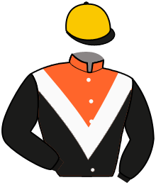 Casaque n°1