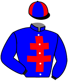 Casaque n°2