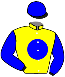 Casaque n°6