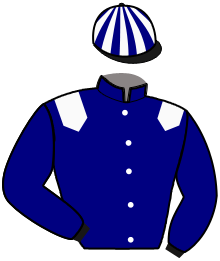 Casaque n°11