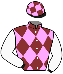 Casaque n°6