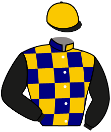 Casaque n°9